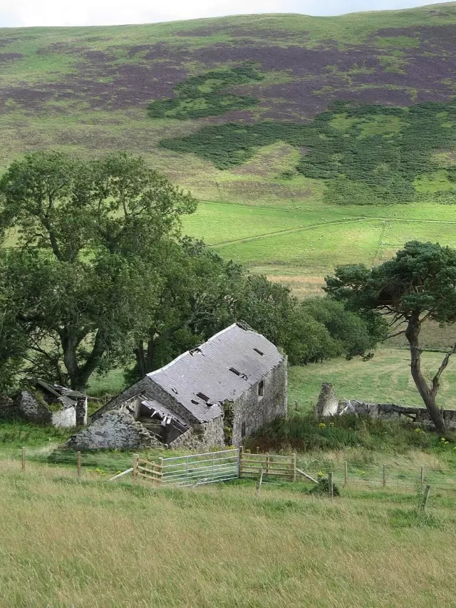 改造前的苏格兰小屋.jpg