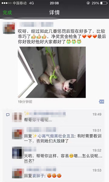 收发室工作员虐猫 