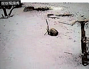 我滚啊滚滚到外婆桥