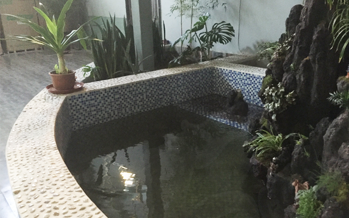 假山水池 假山水池