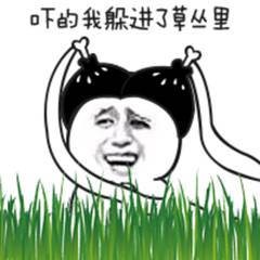 吓得我躲进了草丛里