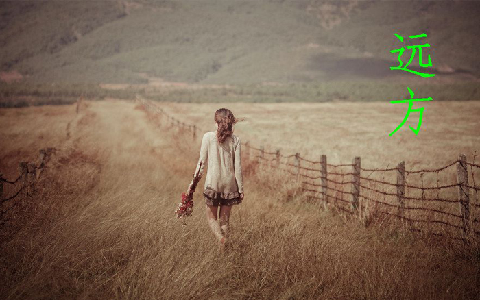 有坦荡荡的远方