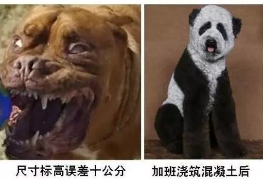 尺寸标高误差十公分，加班浇筑混凝土后，，没毛病