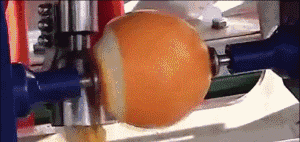 摘回来的橙子可放进机器中去皮