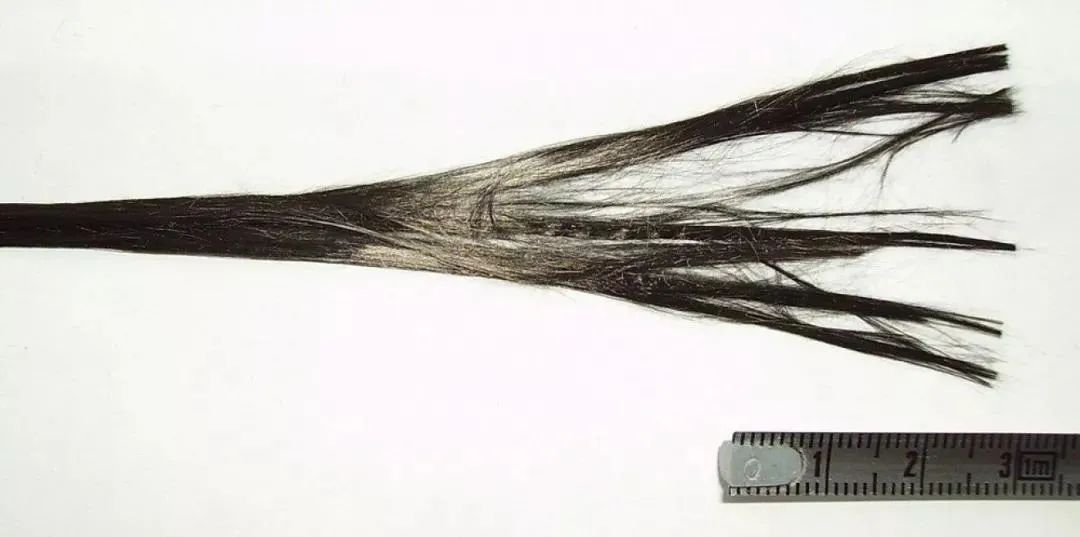 640 (9).jpg 640 (9).jpg