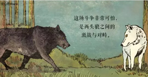 <font color="red">饿狼在左</font>，善狼在右