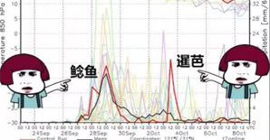 挺住！双台风夹击，上海国庆节泡汤......