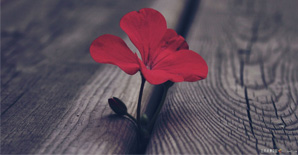 这一生,谢谢自己 这一生,谢谢自己