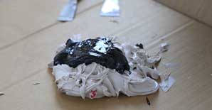 <font color="red">结构胶又叫什么名字</font>？