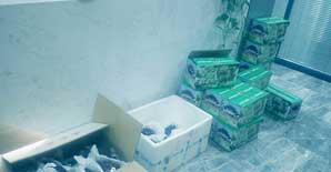 <font color="red">炎炎夏日</font>，上海悍马给员工“送清凉”喽！