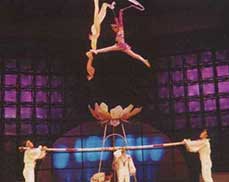 <font color="red">上海马戏学校修缮工程</font>