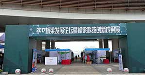 2017桥梁发展论坛见证中国桥梁崛起 跨江特大桥预应力碳板新技术亮相