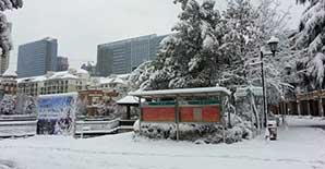 细思极恐！暴雪下的低价中标血案！